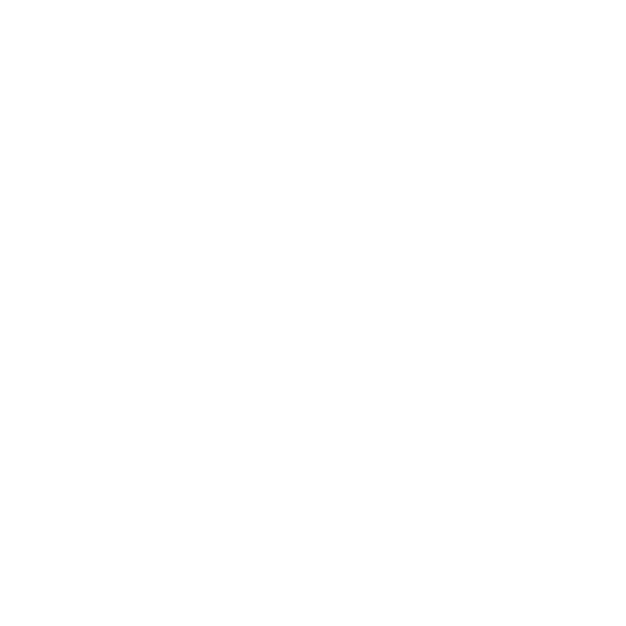 Het logo van Veenman Dakveiligheid.