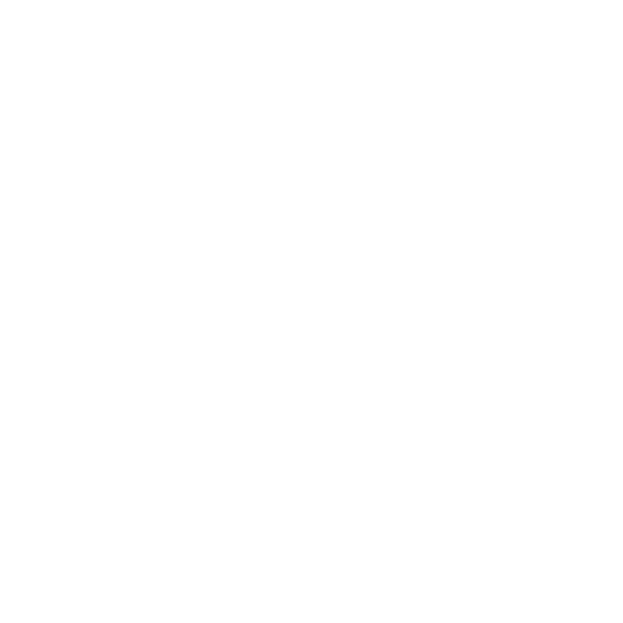 Het logo van NetCaptain.